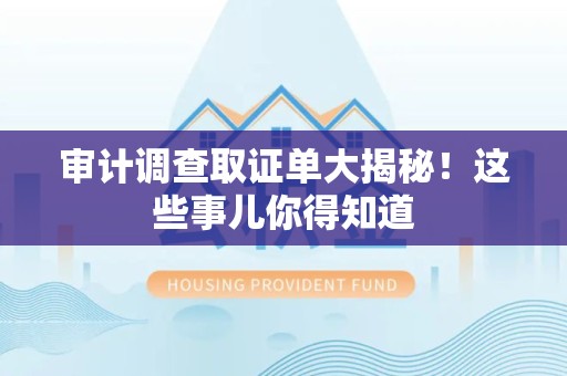 南康审计调查取证单大揭秘！这些事儿你得知道