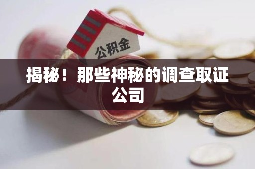 南康揭秘！那些神秘的调查取证公司