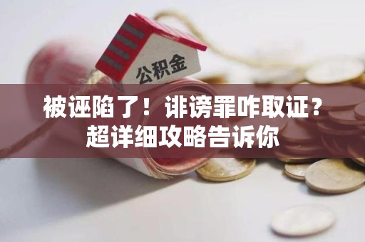 南康被诬陷了！诽谤罪咋取证？超详细攻略告诉你
